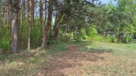 GNC-GS-1035, Działka na sprzedaż, Aleksandrów Kujawski (gw), Odolion